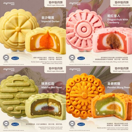 Best Selling - Multi Layer Mooncakes 2 Boxes Set